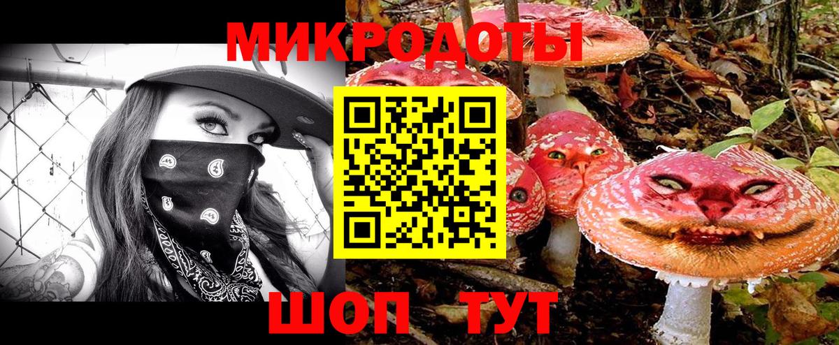 Галлюциногенные грибы ЛСД  Вход с VPN  Псилоцибиновые грибы ЛСД  Курчалой 
